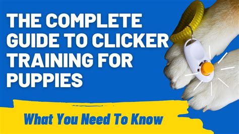 Puppy Clicker Training Guide Mastering Clicker Skills Houndgames