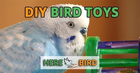 Homemade Diy Bird Toys Are Easy To Make With Household Items Make Your