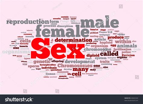 Sex Word Cloud Illustration Graphic Tag Stock Vector Royalty Free 40665343 Shutterstock