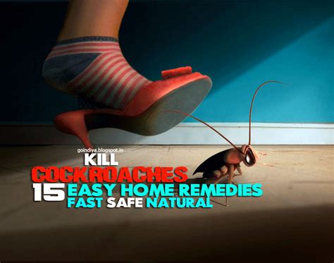 15 Easy Home Remedies To Get Rid Of Cockroaches Fast And Naturally Part