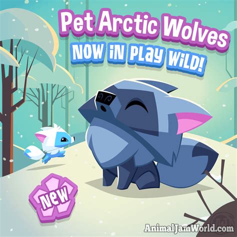 Pet Arctic Wolves In Play Wild Ajpw Pet Guide