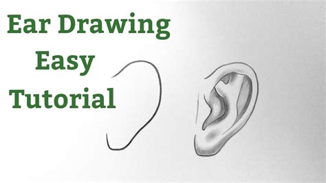 How To Draw Ears For Beginners Step By Step Ear Drawing Tutorial With