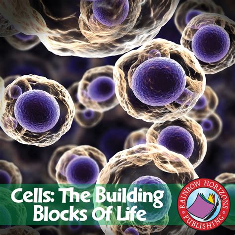 Cells The Building Blocks Of Life Gr 7 8 By Teach Simple