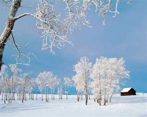 Escenas Hermosas Del Invierno The Beauty Of Winter Fotos E Imágenes