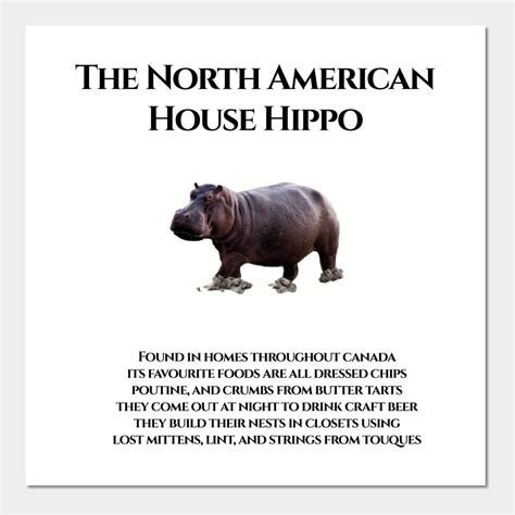 Pin On House Hippo