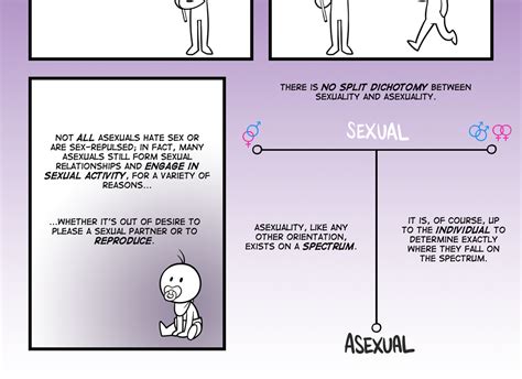 asexuality myth busters infograph contemporary queer