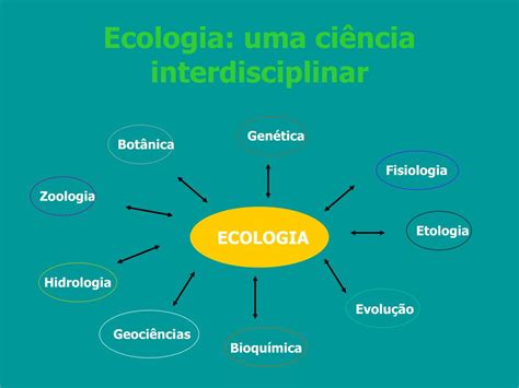 Ppt Ecologia Conceitos E Subdivisões Powerpoint Presentation Free