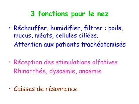 Anatomie Physiologie De Lappareil Respiratoire Ppt