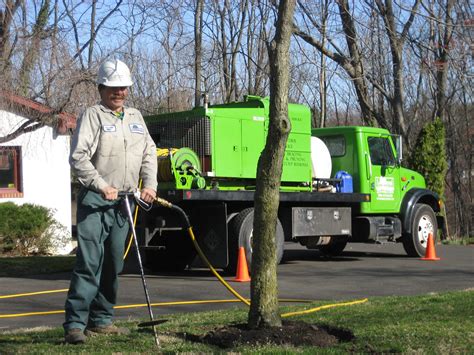 Myke flr18 annual and perennial growth supplement mycorrhiza, 1.4 quarts : Why Your Tree Needs Fertilizer | Giroud Tree & Lawn