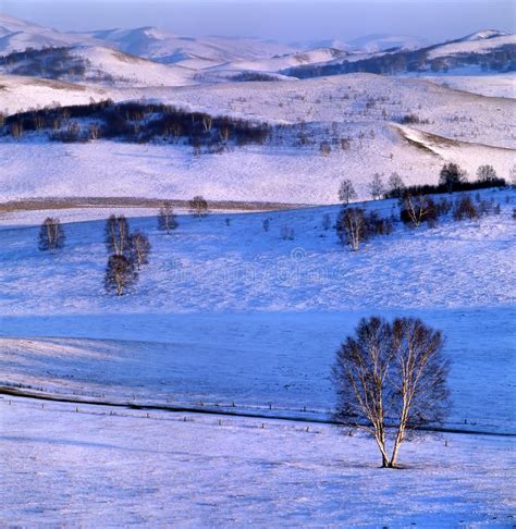 Winter Grassland Scenery Stock Photo Image 7191080