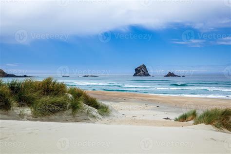 View Of Sandfly Bay In The South Island Of New Zealand Stock Photo At Vecteezy