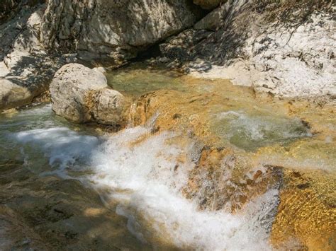 Crystal Clear Water In Mountains Mountain Stream Stock Photo Image