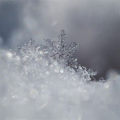 Crystal Snowflake By Beth Riser Winter Frozen Cozy Snowflake