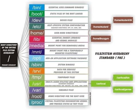 Linux Filesystem Navigation Basics Linux Tutorials Learn Linux