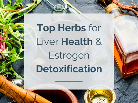 Top Herbs For Liver Health And Estrogen Detoxification