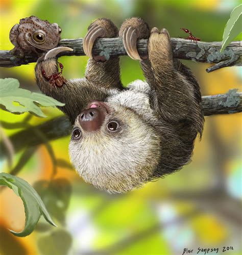 German artist lisa saukel, has a real talent, when it comes to cutefying (i know it's not a real word), animals and 1 insect. Cute Portraits Of Unexpected Animal Buddies By Blair Sampson | Bored Panda