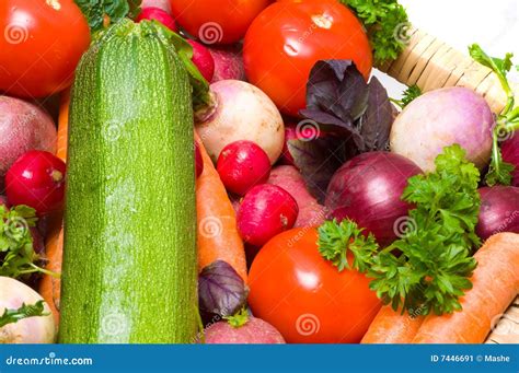 Beautiful Vegetables Yield Stock Image Image Of Celery Taste 7446691
