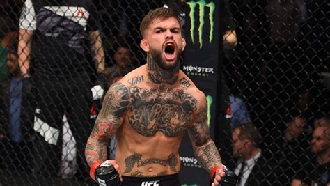 Dominick cruz didn't hold back when asked what he thinks. Garbrandt and Dillashaw Set For UFC 217 | FIGHT SPORTS