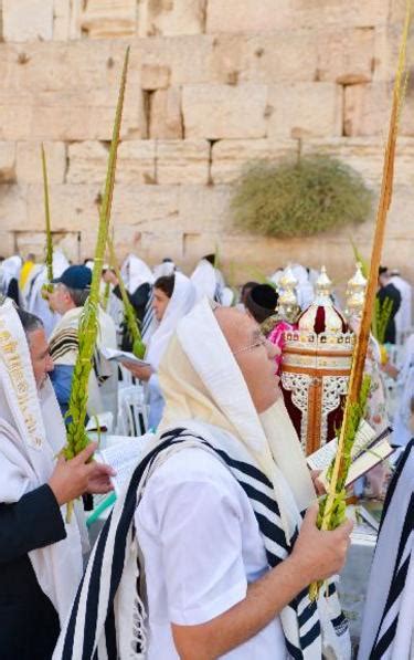 Order Lulav And Etrog Adath Israel Congregation