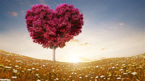 1920x1080 Love Heart Tree Laptop Full Hd 1080p Hd 4k Wallpapers Images