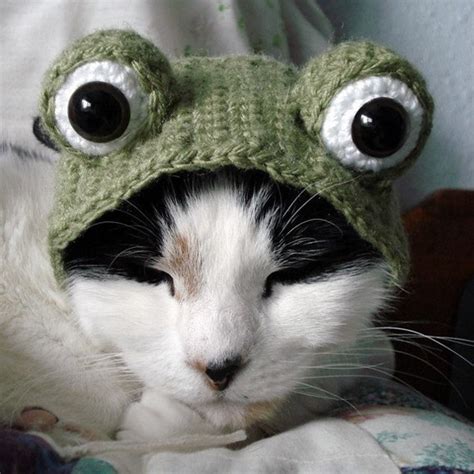 Pattern Crochet Pet Costume Frog Hat Pdf