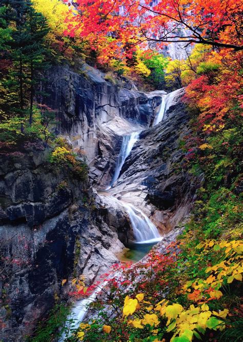 Autumn Leaves Dance Above Gushing Waterfall Autumn Waterfalls