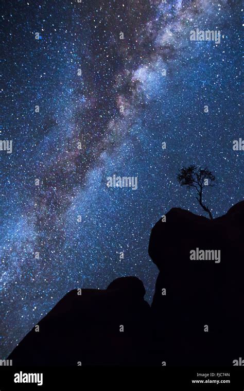 Tree Silhouette Under The Milky Way Stock Photo Alamy