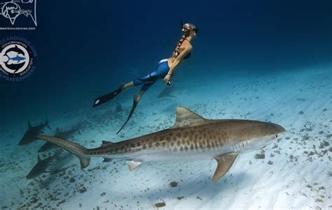 Ocean Ramsey Is The Beautiful Shark Defender You Need To Know About Maxim
