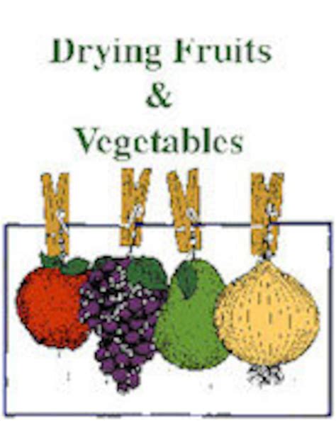 Drying Fruits And Vegetables Ebook Digital Download Etsy