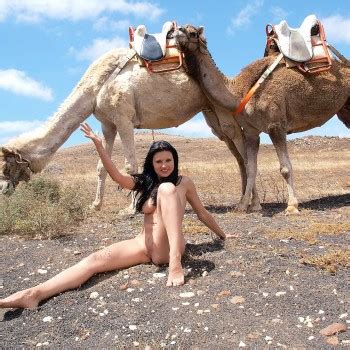 Desert With Camels My Xxx Hot Girl