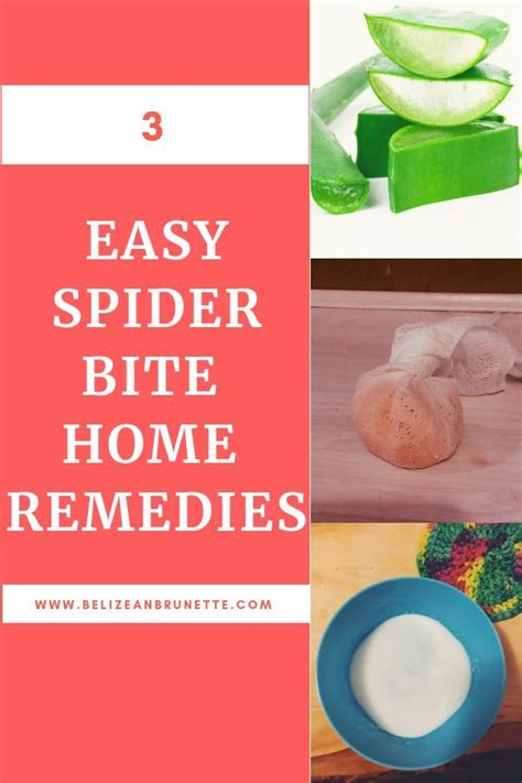 Do Spider Bite Home Remedies Work 3 Remedies We Tried With Images
