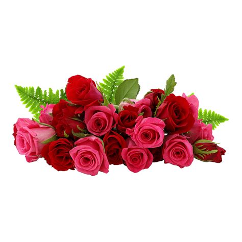 Red Rose Png Rose Flower Png Red Roses Beautiful Flowers Pictures