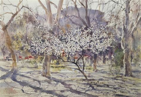A Watercolor Painting Of Trees With White Flowers