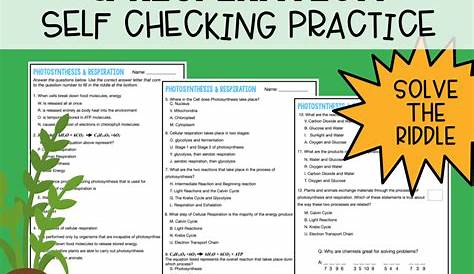 Photosynthesis & Respiration Self Checking Practice Worksheet
