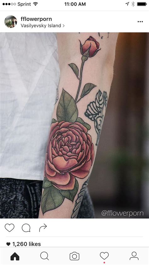 Pin By S Zickrick On Ink Now English Rose Tattoos Rose Tattoo Tattoos