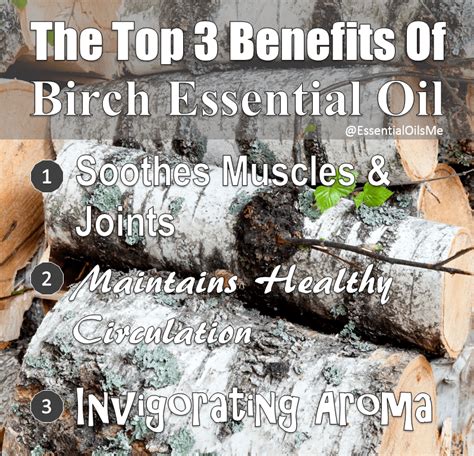 Doterra Birch Essential Oil Uses