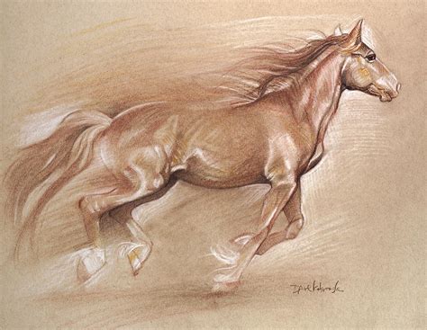 Wild Horse Ii Wildlife Drawing Drawing By Dave Kobrenski