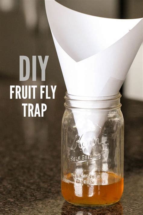 Homemade Fruit Fly Trap How To Get Rid Of Fruit Flies Lil Luna