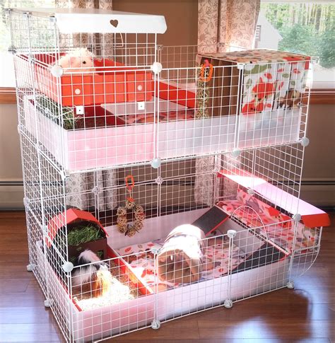 Small Guinea Pig Cages