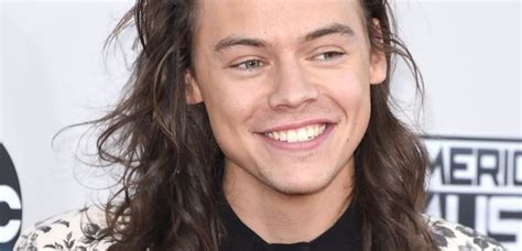 It wasn't until recently when harry's new haircut debuted as a shorter look. Harry Styles New Short Hair FINALLY Revealed On Snapchat ...
