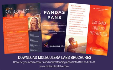 Pans And Pandas Brochures Moleculera Labs