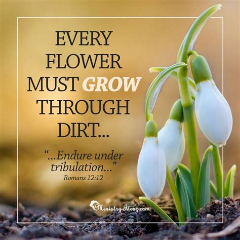 Every Flower Must Grow Through Dirt Endure Under Tribulation