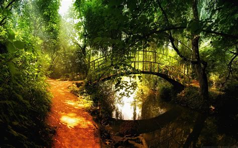 Nature Landscape Bridge Path Trees River Plants Wallpapers Hd