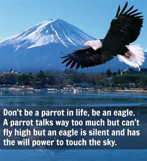 Eagles don't fly with the pigeons. Soar Like An Eagle Quotes And Sayings. QuotesGram