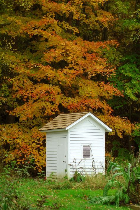 Free Download Hd Wallpaper Outhouse Woods Trees White Painted