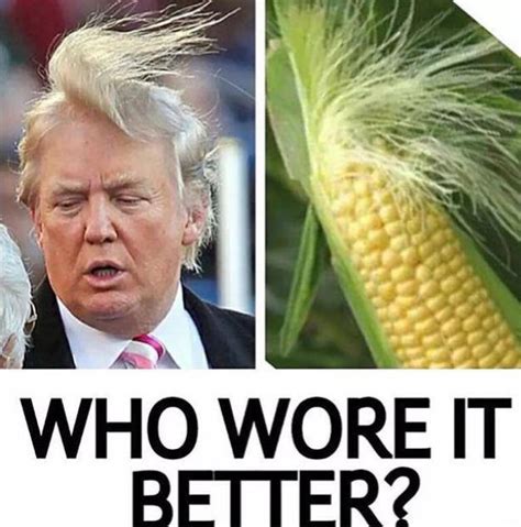 These Funny And Hilarious Donald Trump Memes Will Make You Go Rofl