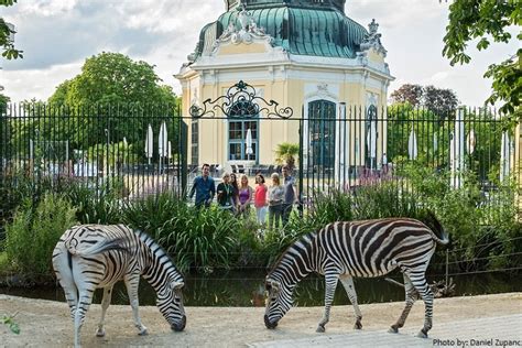 Interesting Facts About Schönbrunn Palace Just Fun Facts