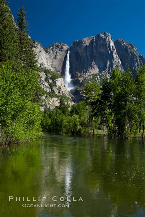 Yosemite Falls Reflected In The Merced River Yosemite National Park