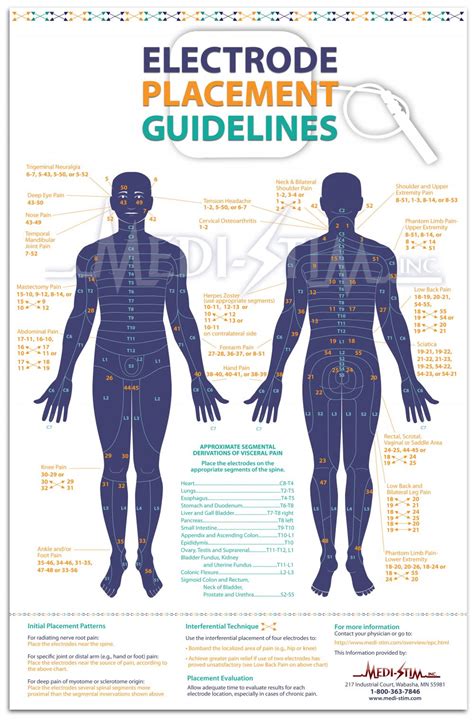 Anatomy posters and anatomy charts. TENS for IC - treat IC