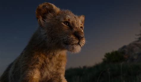 The Lion King 2019 A Review By John Strange Selig Film News